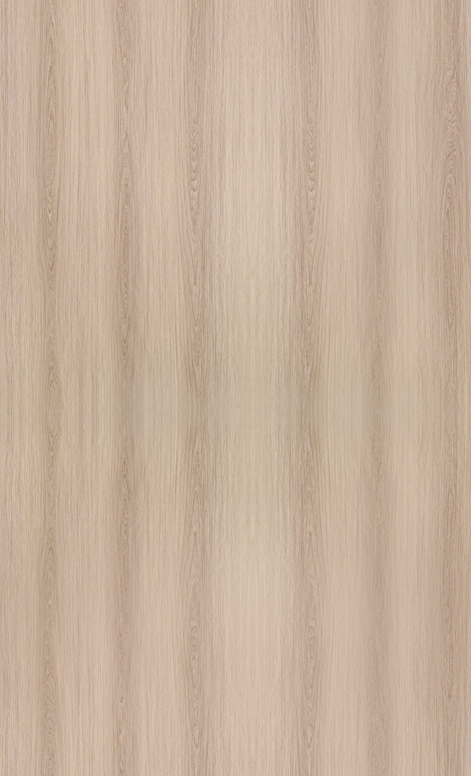 Camara Wood