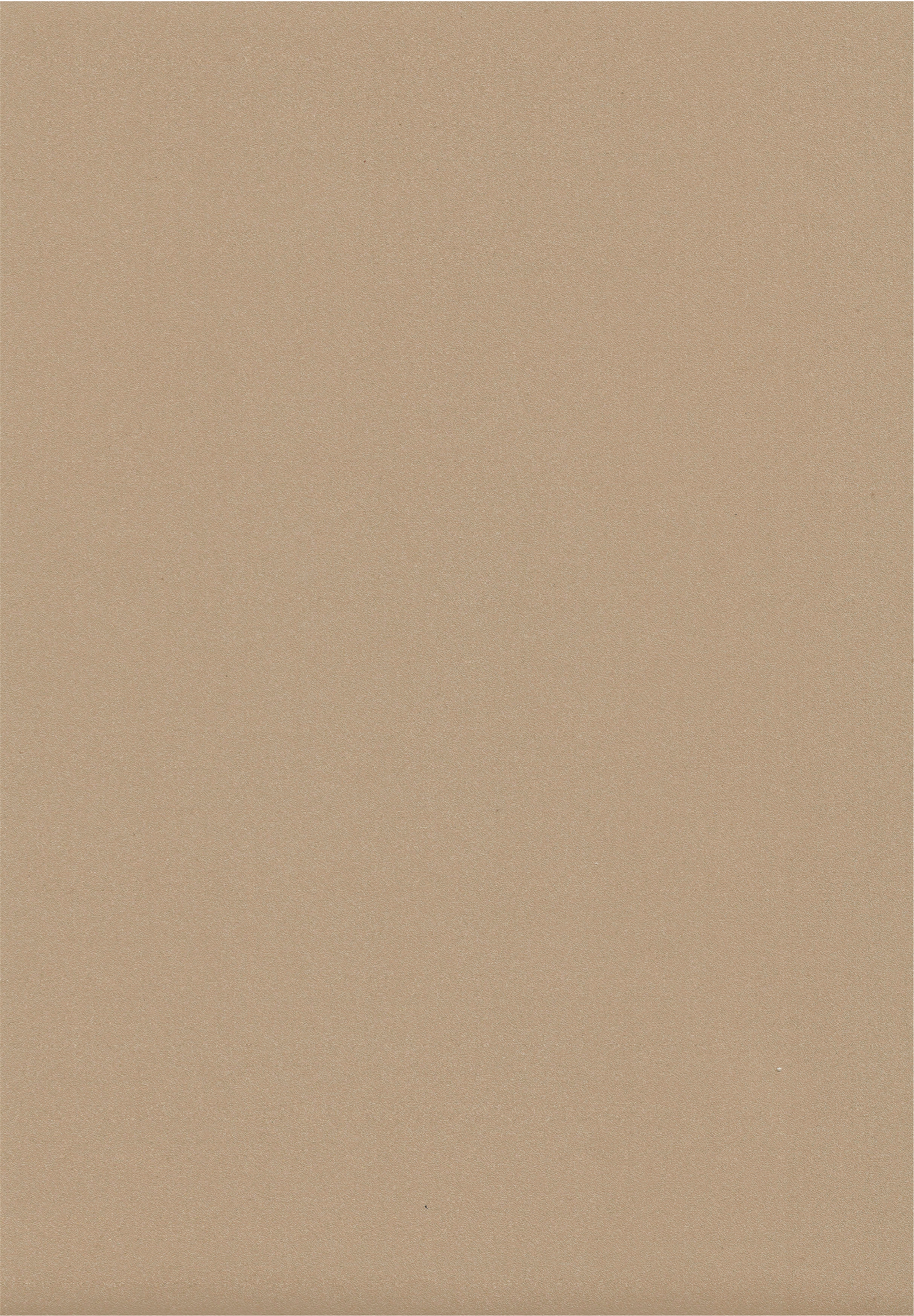 Soft Coffee Brown