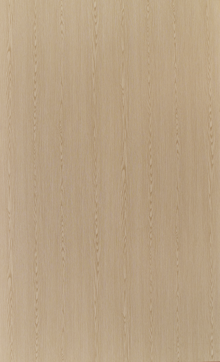 Transeries Pliocene Wood