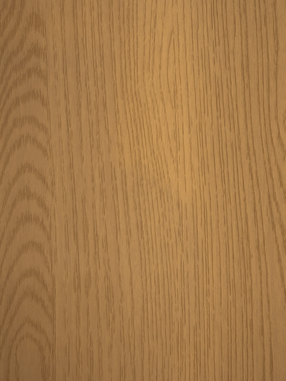 Transeries Areia Fineer