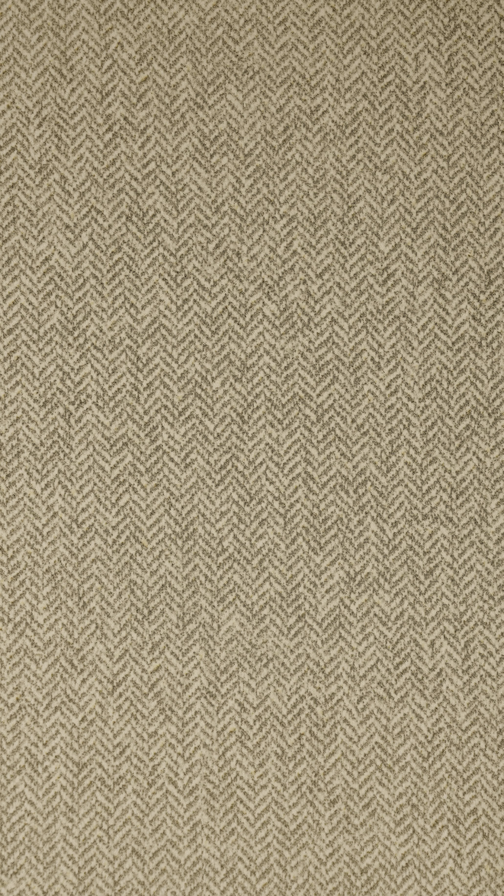 Transeries Bhora Shevaron