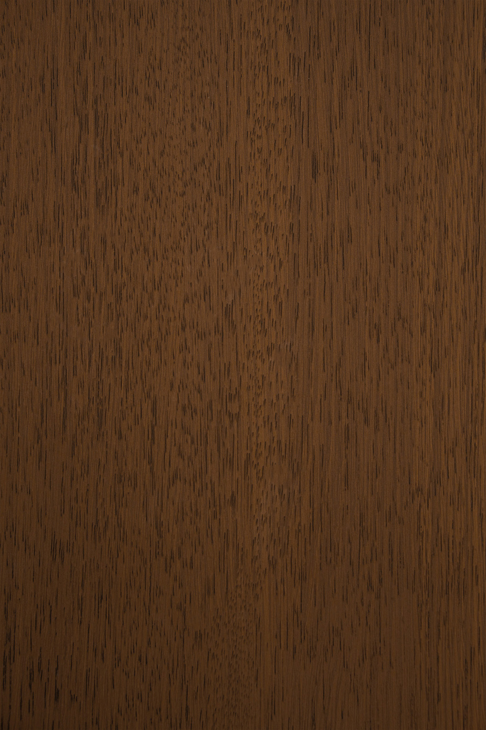 Transeries Canela Veniar