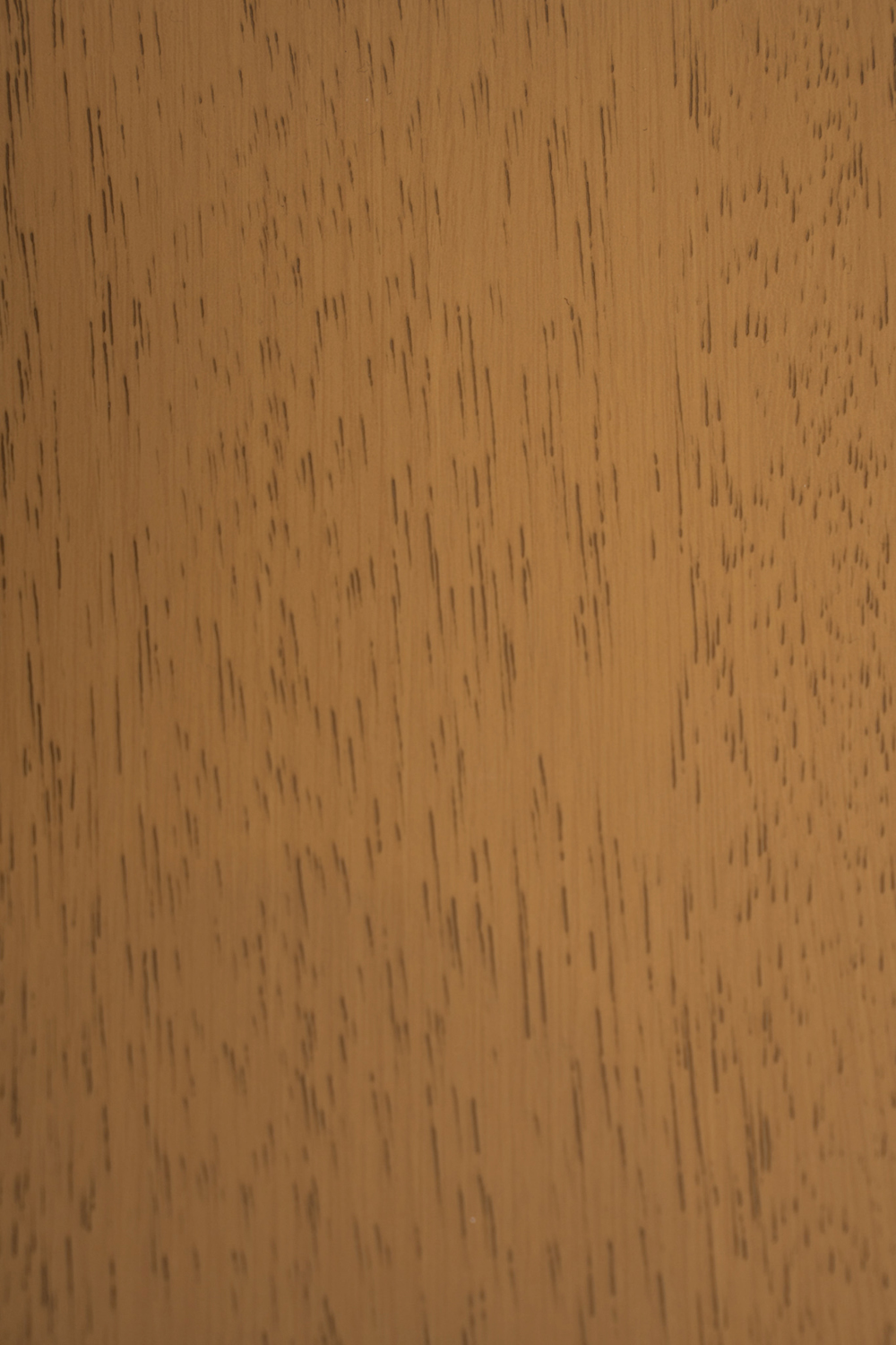 Transeries Caramelo Veniar