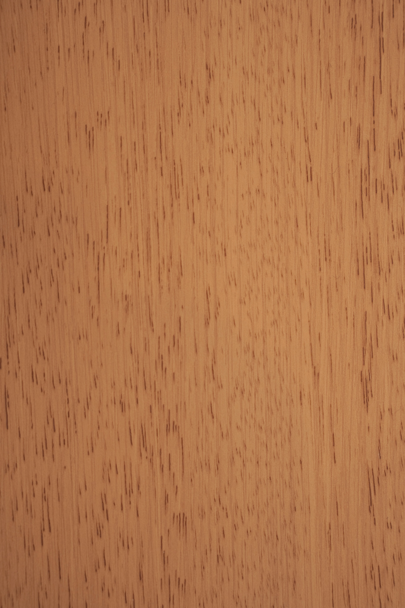 Transeries Russet Veniar