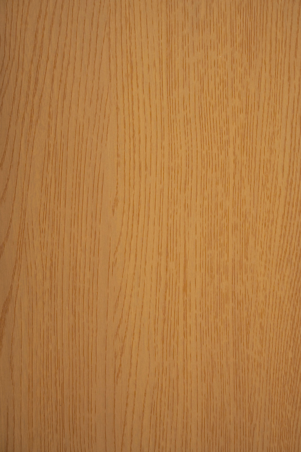 Transeries Hani Fineer