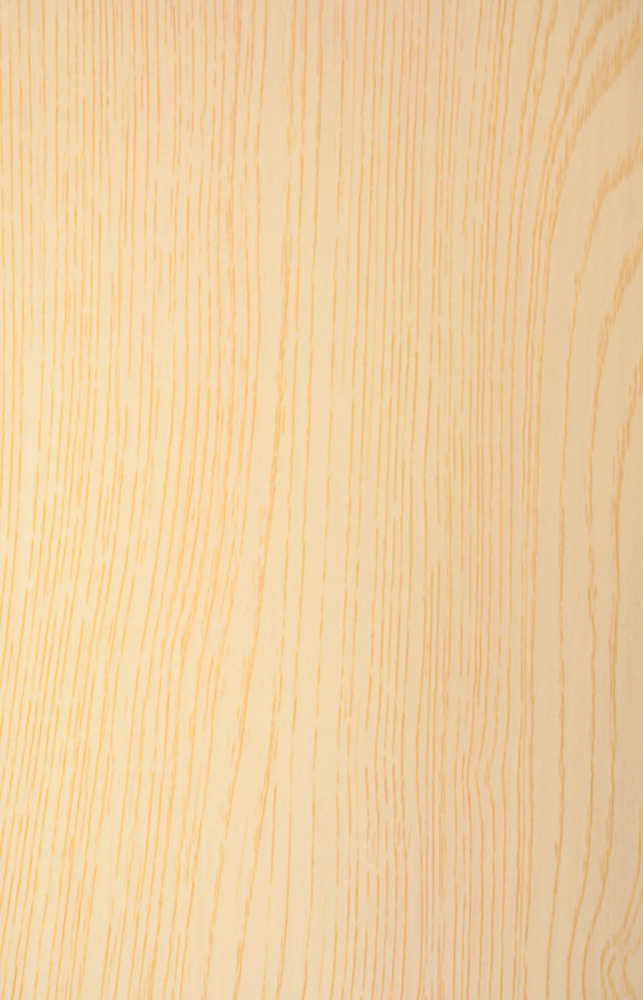 Transeries Nilha Fineer