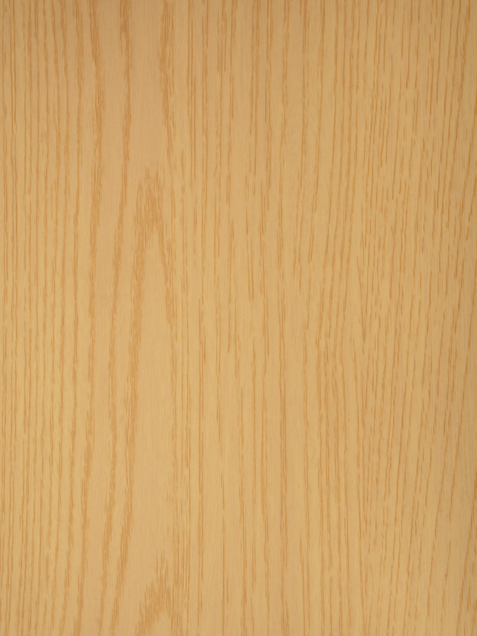 Transeries Oura Fineer